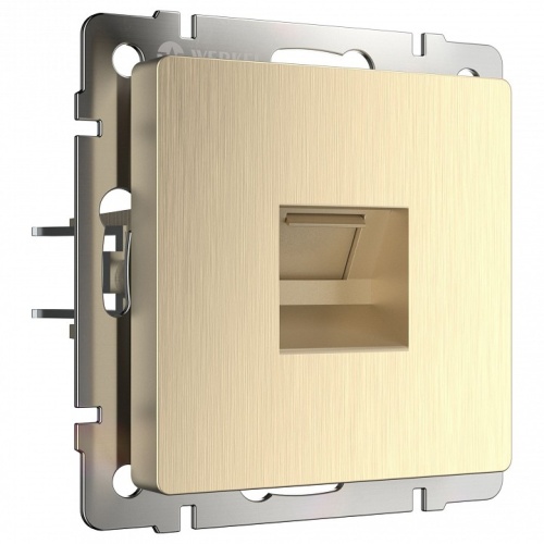 Розетка Ethernet RJ-45 без рамки Werkel шампань рифленый W1181010 в Нижнем Новгороде