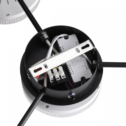 Потолочная люстра Lumion Didana 8236/4CL в Нижнем Новгороде фото 3