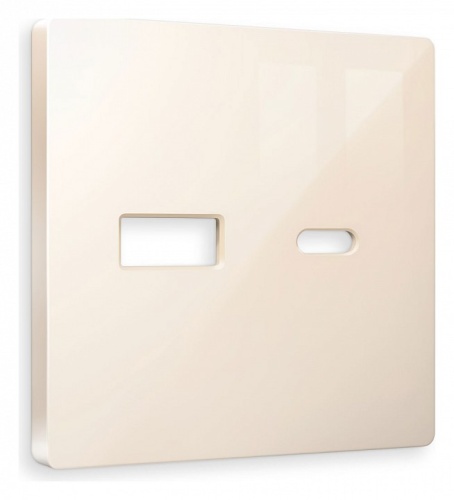 Накладка для розетки type A и C Ambrella Volt ALFA AP3110 в Нижнем Новгороде