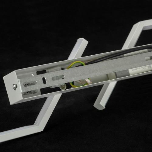 Накладной светильник Lussole Alachua LSP-7148 в Нижнем Новгороде фото 2