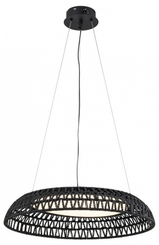 Подвесной светильник F-promo Conrad 4752-5P в Нижнем Новгороде фото 2