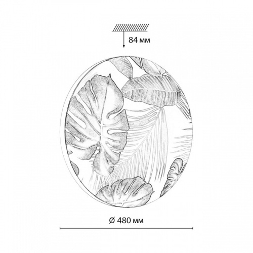 Накладной светильник Sonex Flori 7748/EL в Ртищево фото 6