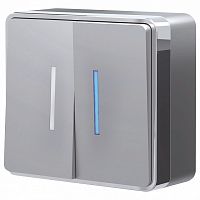 Выключатель двухклавишный с подсветкой Werkel Gallant (серебряный) W5020106 в Нижнем Новгороде