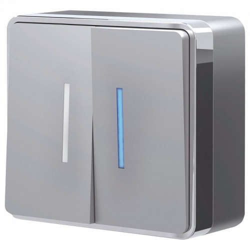 Выключатель двухклавишный с подсветкой Werkel Gallant (серебряный) W5020106 в Нижнем Новгороде