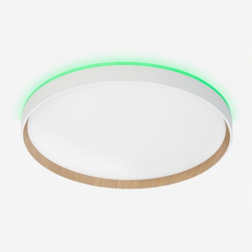 Накладной светильник Citilux ETALON CL750400R в Нижнем Новгороде фото 12