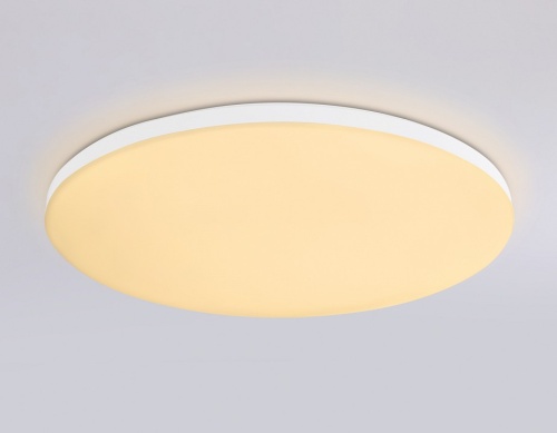 Накладной светильник Ambrella Light FZ FZ2002 в Нижнем Новгороде фото 7