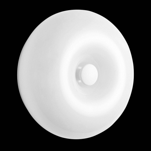 Накладной светильник Lightstar Catania 689616 в Нижнем Новгороде фото 4