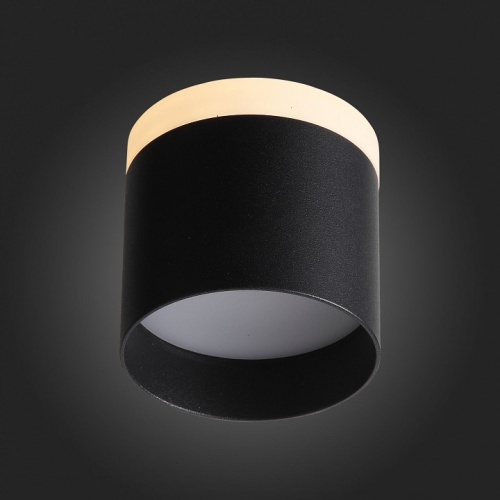 Накладной светильник ST-Luce Panaggio ST102.402.12 в Нижнем Новгороде фото 6