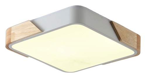 Накладной светильник Zortes Alberro ZRS.01285.60 в Нижнем Новгороде фото 2