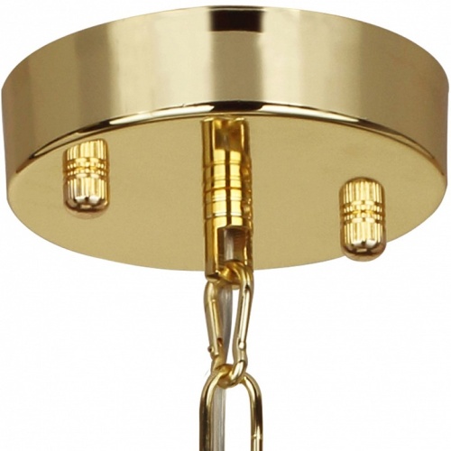 Подвесной светильник Favourite Chick 1930-2P в Нижнем Новгороде фото 2