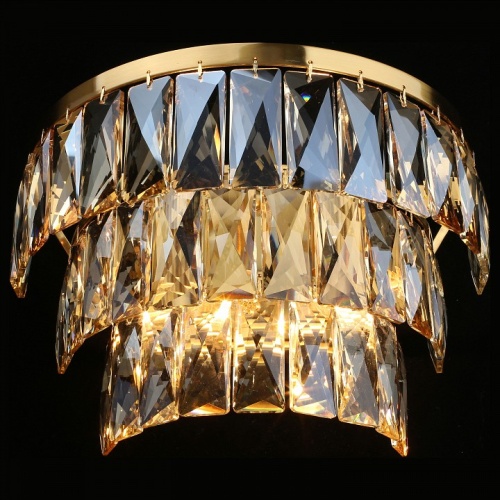 Накладной светильник Aployt Francheska APL.837.01.02 в Нижнем Новгороде фото 5