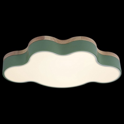 Накладной светильник Loft it Axel 4 10005/30 Green в Нижнем Новгороде фото 4