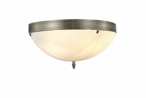 Накладной светильник MyFar Biene MR2521-3W в Нижнем Новгороде фото 2