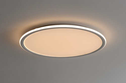 Накладной светильник Zortes Galo ZRS.10112.13 в Нижнем Новгороде фото 4