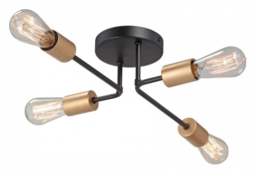 Потолочная люстра Vitaluce V3005 V3005-1/4PL в Нижнем Новгороде фото 4