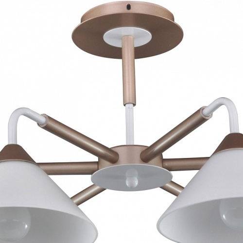 Люстра на штанге Arti Lampadari Ribera Ribera E 1.1.6 CW в Нижнем Новгороде фото 4