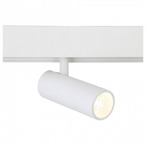 Светильник на штанге Ambrella Light GL GL3819 в Нижнем Новгороде