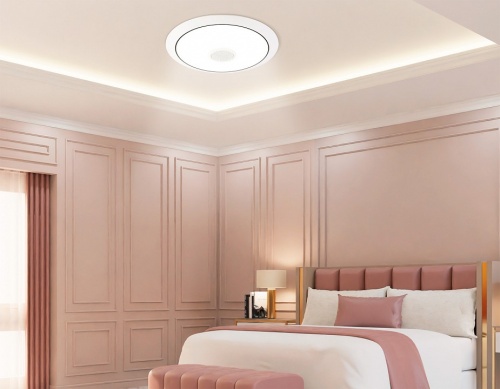 Накладной светильник Ambrella Light  FZ710 в Нижнем Новгороде фото 8