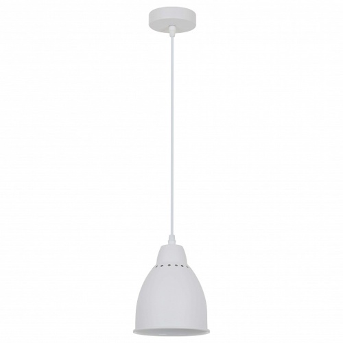 Подвесной светильник Arte Lamp Braccio A2054SP-1WH в Кирове фото 2