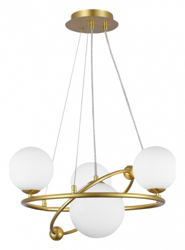 Подвесная люстра EVOLUCE Artu SLE2210-203-04 в Нижнем Новгороде фото 6