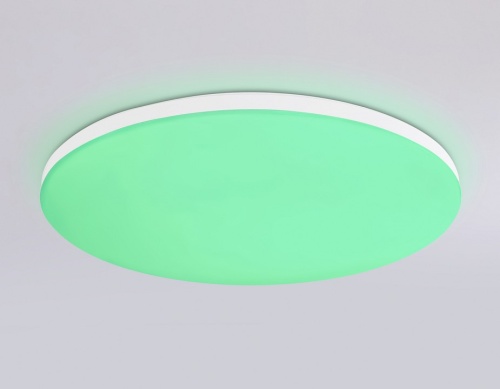 Накладной светильник Ambrella Light FZ FZ2002 в Нижнем Новгороде фото 2