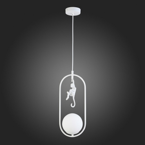 Подвесной светильник EVOLUCE Tenato SLE115123-01 в Нижнем Новгороде фото 3