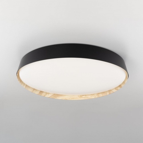 Накладной светильник Citilux BONNY CL754451G в Нижнем Новгороде фото 7