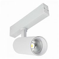 Светильник на штанге ST-Luce SKYLINE 220 ST660.536.10H в Нижнем Новгороде