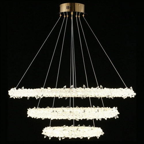 Подвесной светильник Aployt Merion APL.040.03.105 в Нижнем Новгороде фото 5