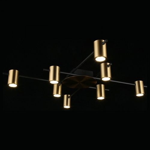 Потолочная люстра Aployt Elwisia APL.633.07.08 в Нижнем Новгороде фото 5