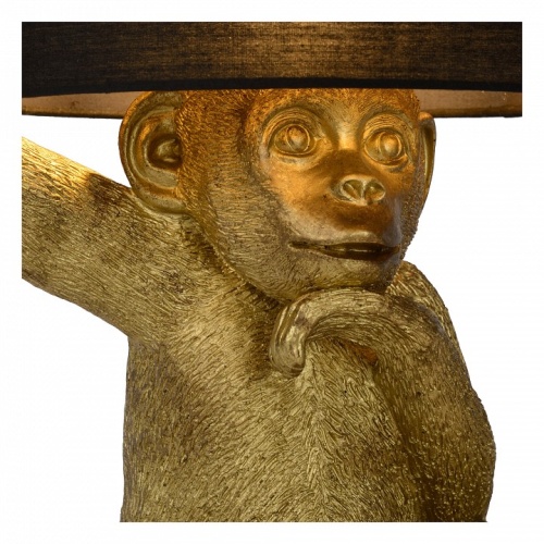 Настольная лампа декоративная Lucide Extravaganza Chimp 10502/81/30 в Иланском фото 6