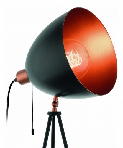 Торшер Eglo Chester 49386 в Нижнем Новгороде фото 3