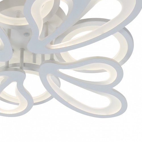 Потолочная люстра Escada 10229 10229/8LED в Нижнем Новгороде фото 3