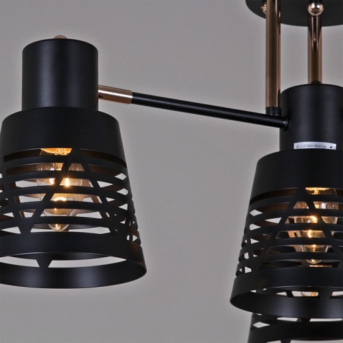 Потолочная люстра 06074-3.3-04 BK+FG в Нижнем Новгороде фото 3