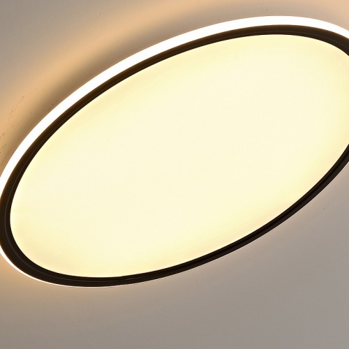 Накладной светильник Zortes Galo ZRS.10112.07 в Нижнем Новгороде фото 14