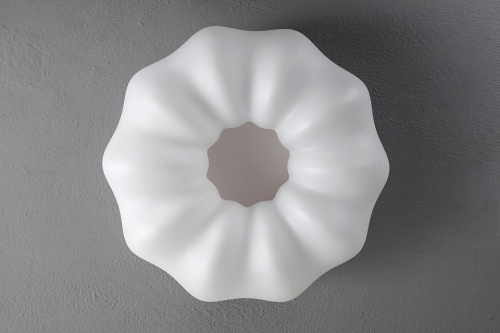 Накладной светильник Zortes Soft ZRS.1118.3 в Нижнем Новгороде фото 12