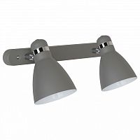 Спот Arte Lamp Mercoled A5049AP-2GY в Малой Вишере