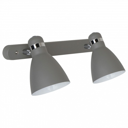 Спот Arte Lamp Mercoled A5049AP-2GY в Нижнем Новгороде