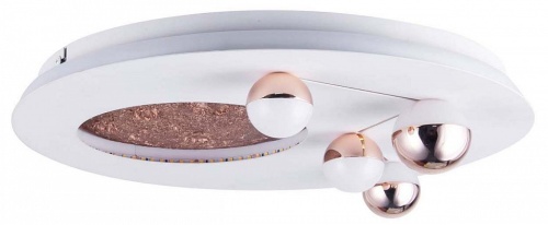 Потолочная люстра Favourite Plaides 4630-4C в Нижнем Новгороде фото 5