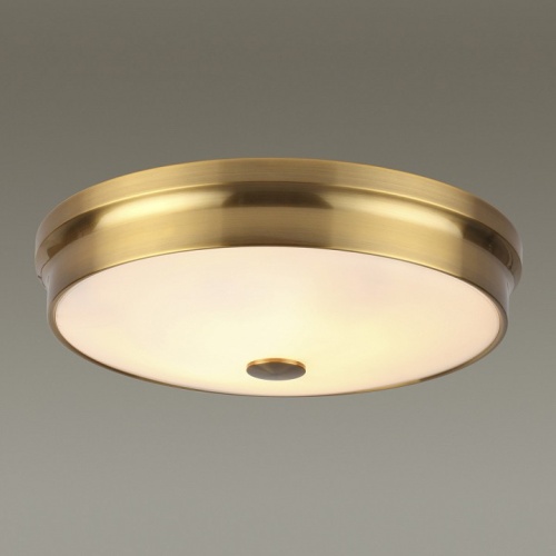 Накладной светильник Odeon Light Marsei 4824/4C в Кораблино фото 4