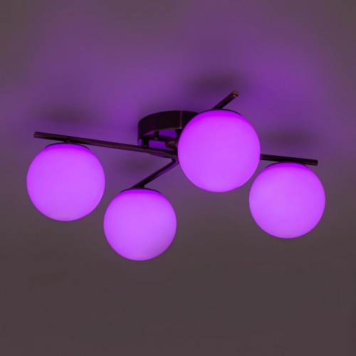 Потолочная люстра Citilux Адам Смарт CL228A143 в Нижнем Новгороде фото 5