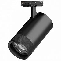 Светильник на штанге Lightstar Canno Pro C4407SS в Нижнем Новгороде