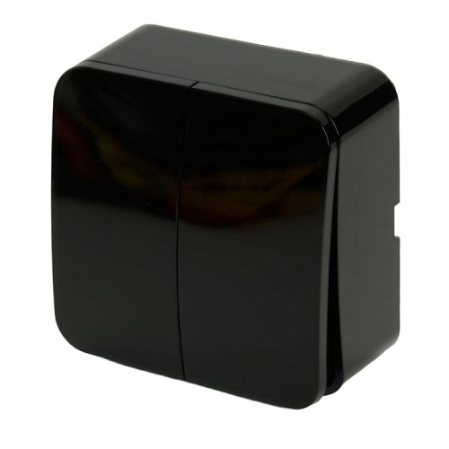 Выключатель двухклавишный Stekker София 49293 в Нижнем Новгороде фото 3