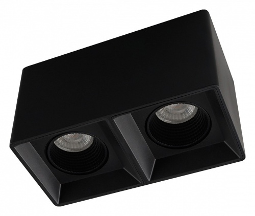 Накладной светильник Denkirs DK3030 DK3085-BK в Нижнем Новгороде