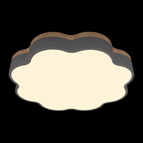 Накладной светильник Loft it Axel 10225/36 Grey в Нижнем Новгороде фото 5