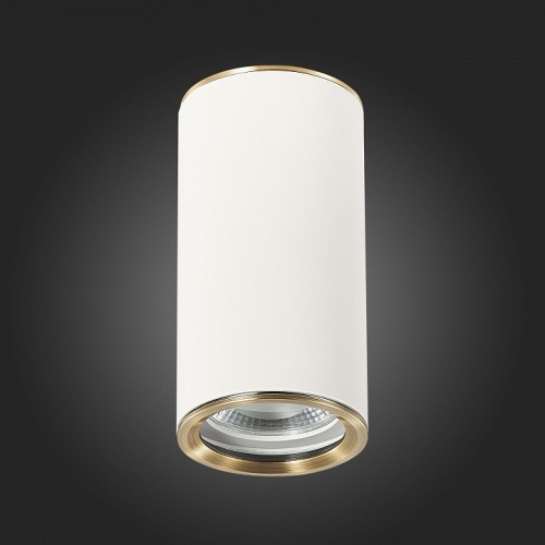 Накладной светильник ST-Luce Chomus ST111.537.01 в Нижнем Новгороде фото 2