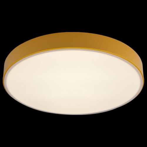 Накладной светильник Loft it Axel 1 10002/24 Yellow в Нижнем Новгороде фото 3