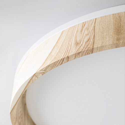 Накладной светильник Citilux ENZO CL753452G в Нижнем Новгороде фото 3