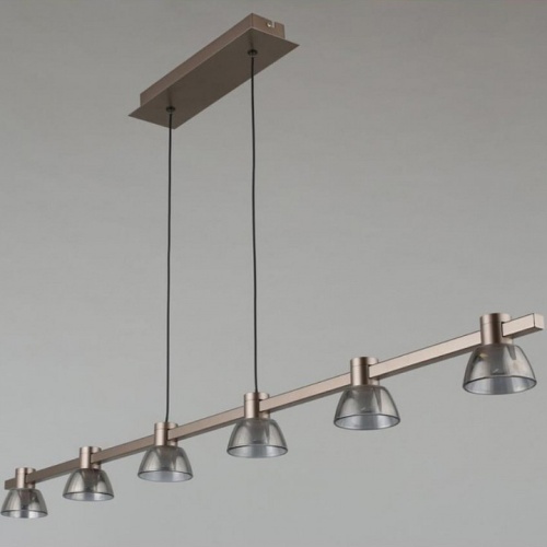 Подвесной светильник Aployt Rezeda APL.788.03.06 в Нижнем Новгороде фото 7