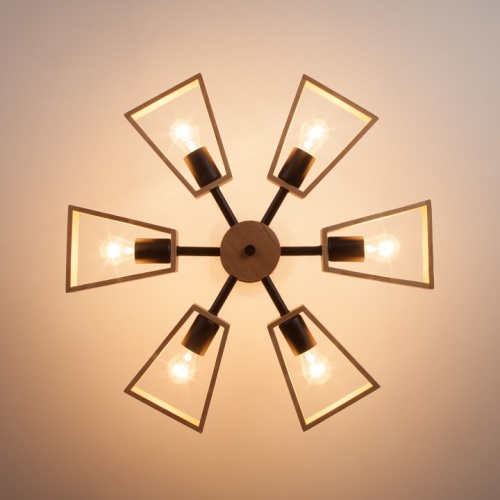 Потолочная люстра Eurosvet Klark 70056/6 черный в Нижнем Новгороде фото 3